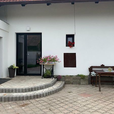 Tolarova Apartman パルドゥビツェ エクステリア 写真