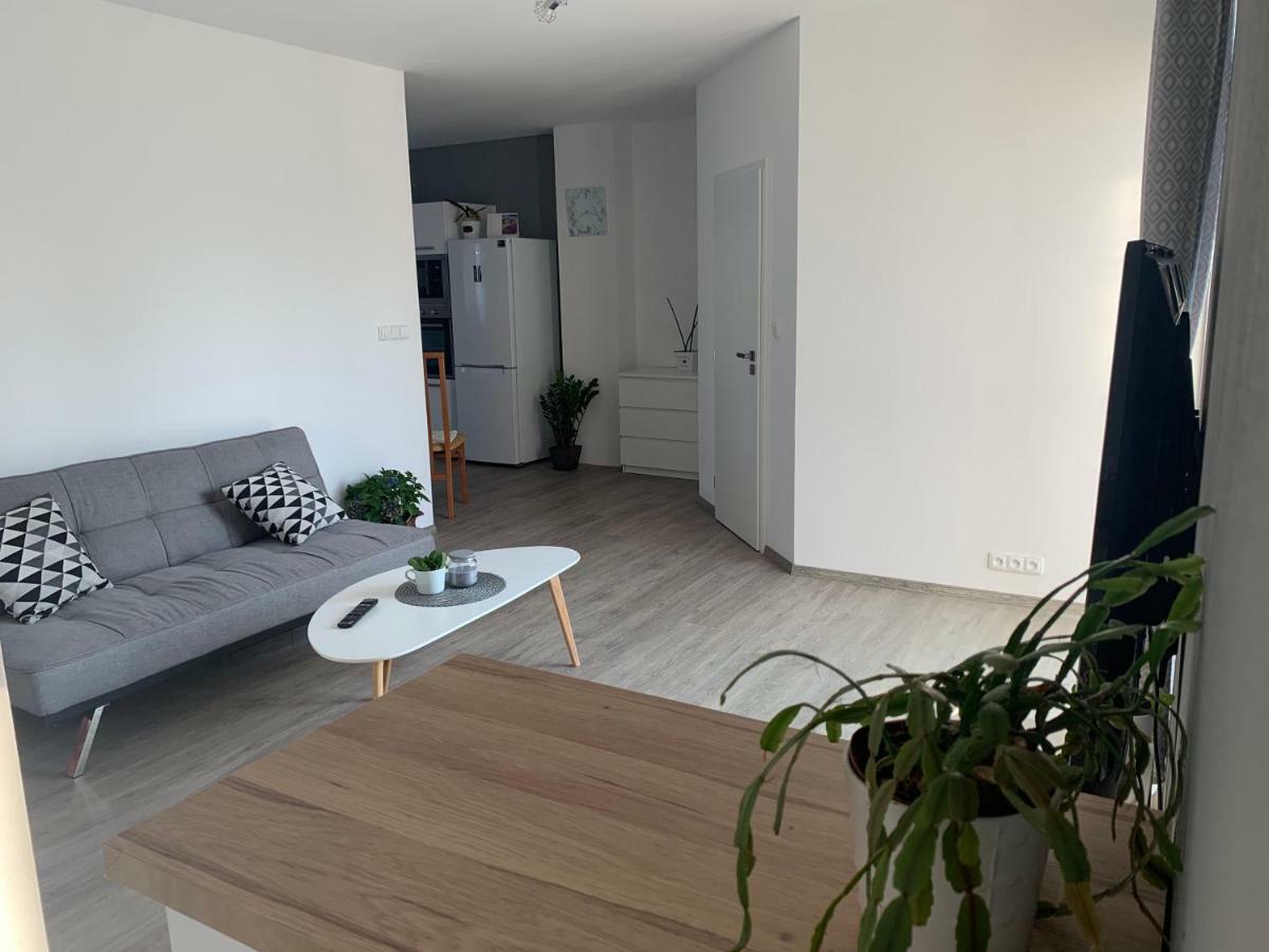 Tolarova Apartman パルドゥビツェ エクステリア 写真